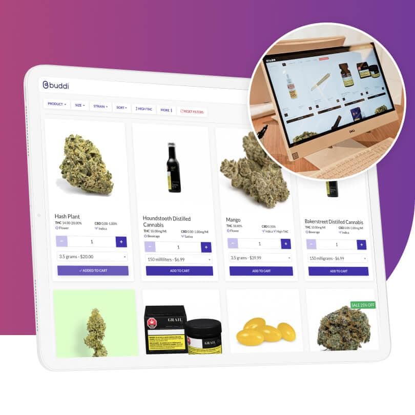 In-Store Cannabis Application Kiosk